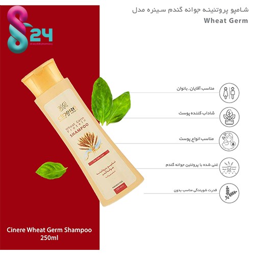 شامپو روزانه پروتئینه جوانه گندم مو سینره 250 میلی لیتر
