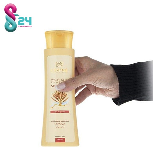شامپو روزانه پروتئینه جوانه گندم مو سینره 250 میلی لیتر