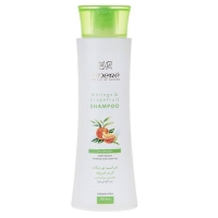 شامپو مورینگا و چای سبز مخصوص موهای چرب سینره 250 میلی لیتر