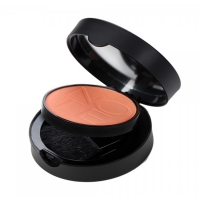 رژگونه ساده لومینوس سیلک کد 08